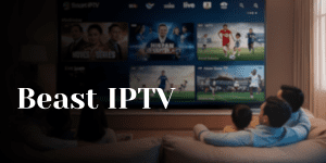 4k IPTV Service Providers